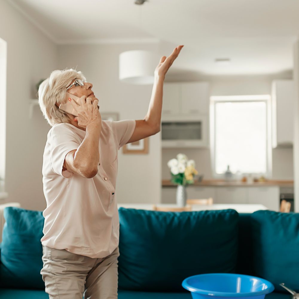 An older woman on the phone pointing at a leaking ceiling, a bucket on the floor